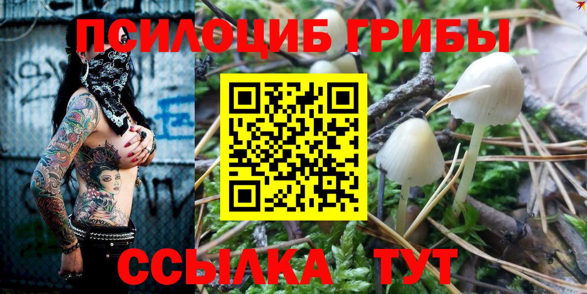 Псилоцибиновые грибы Cubensis Ялта