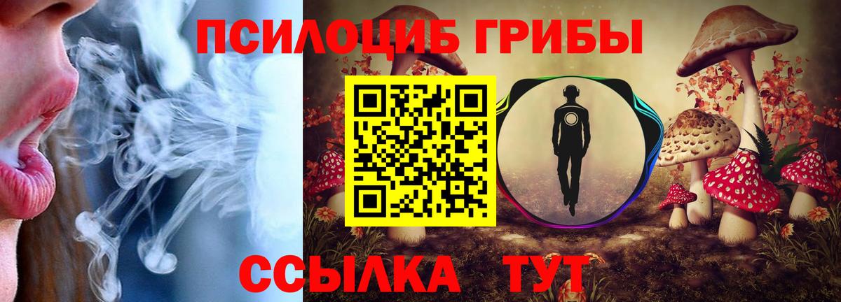 Ялта  Псилоцибиновые грибы GOLDEN TEACHER  Псилоцибиновые грибы прущие грибы  Вход с VPN 